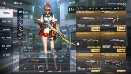 Acc #13